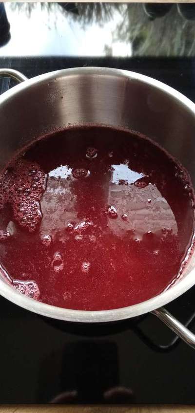 Französische Bulldoggen-Beitrag-Bild