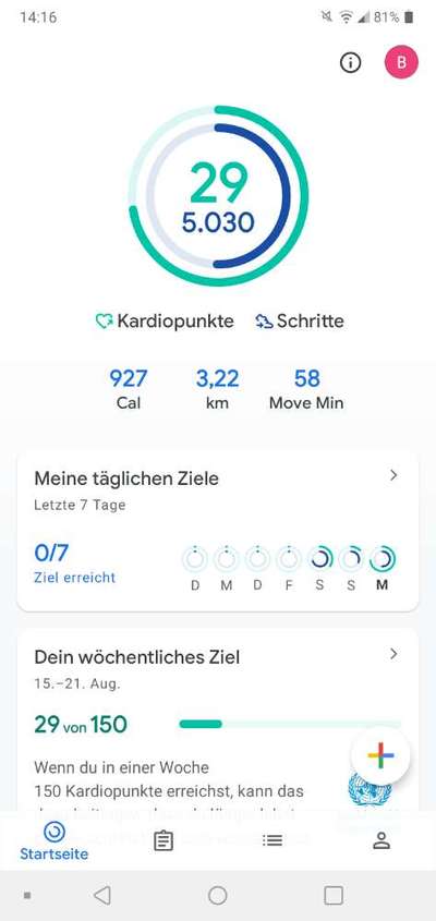 Französische Bulldoggen-Beitrag-Bild