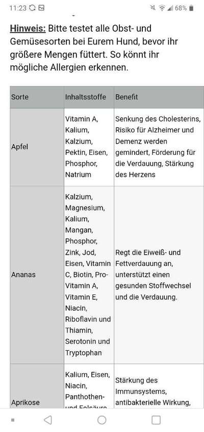 Hochwertiges / Bedarfsgerechtes Nassfutter (ohne Barfen), welches nur?-Beitrag-Bild