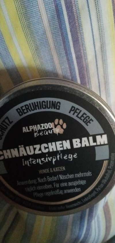 Französische Bulldoggen-Beitrag-Bild