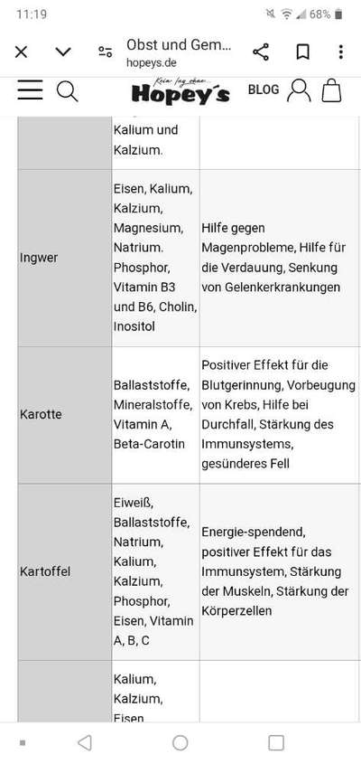 Hochwertiges / Bedarfsgerechtes Nassfutter (ohne Barfen), welches nur?-Beitrag-Bild