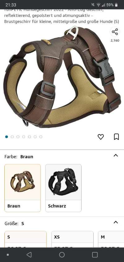 Französische Bulldoggen-Beitrag-Bild