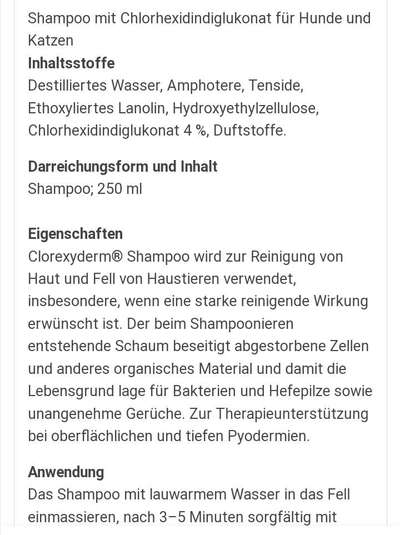 Hund riecht nach Urin-Beitrag-Bild