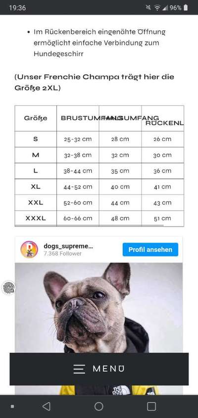 Französische Bulldoggen-Beitrag-Bild