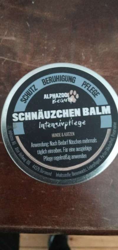 Französische Bulldoggen-Beitrag-Bild