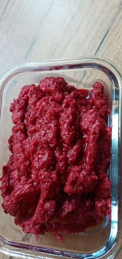 Französische Bulldoggen-Beitrag-Bild