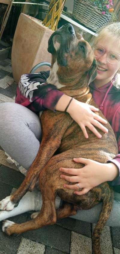 Als Welpen sind sie alle noch süßer-Beitrag-Bild