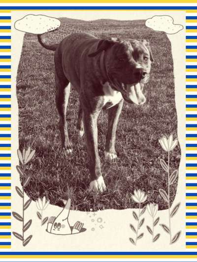 FarbenFoto - Challenge: Sepia-Beitrag-Bild