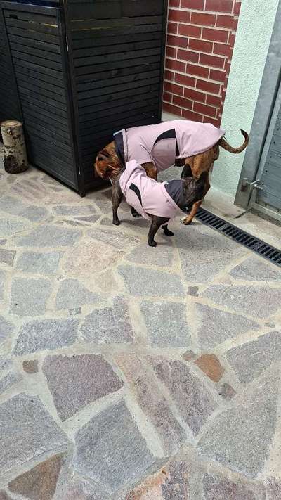 Regenjacke die wirklich hält, was sie verspricht-Beitrag-Bild