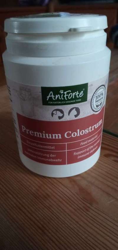 Neosporose-Beitrag-Bild