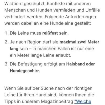 Das Dilemma mit der Rollleine-Beitrag-Bild