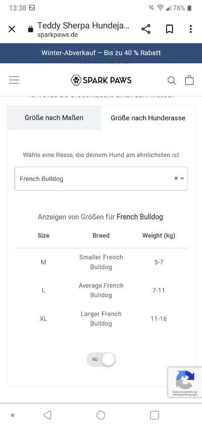 Französische Bulldoggen-Beitrag-Bild