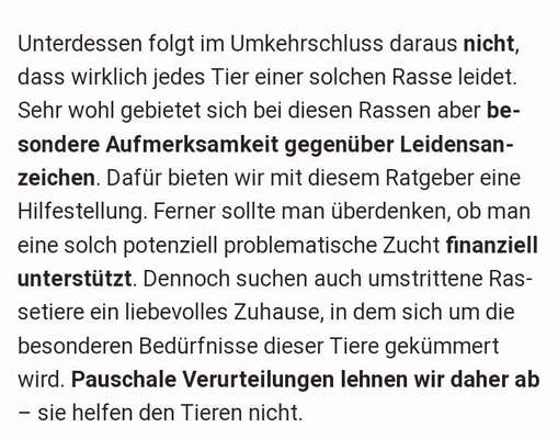 Brachycephale Hunderassen-Beitrag-Bild