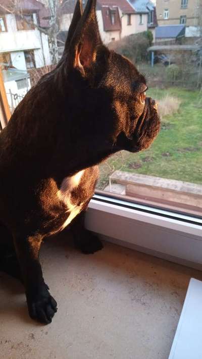 120. Fotochallenge-Beitrag-Bild