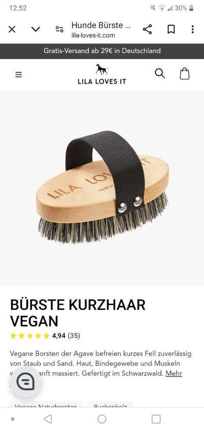 Olde English Bulldogge-Beitrag-Bild