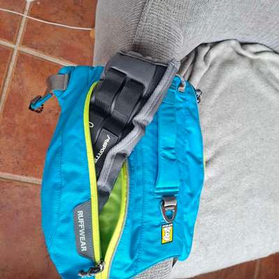 Antizieh Geschirr Amstaff-Beitrag-Bild