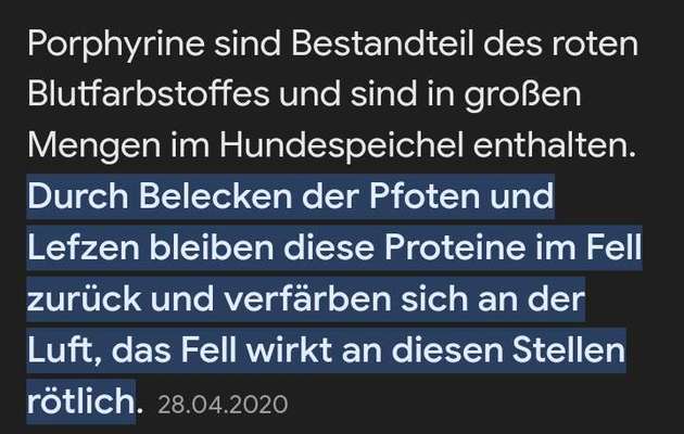 Rot verfärbte Vorderpfötchen-Beitrag-Bild