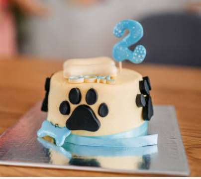 Französische Bulldoggen-Beitrag-Bild