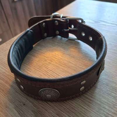 Antizieh Geschirr Amstaff-Beitrag-Bild