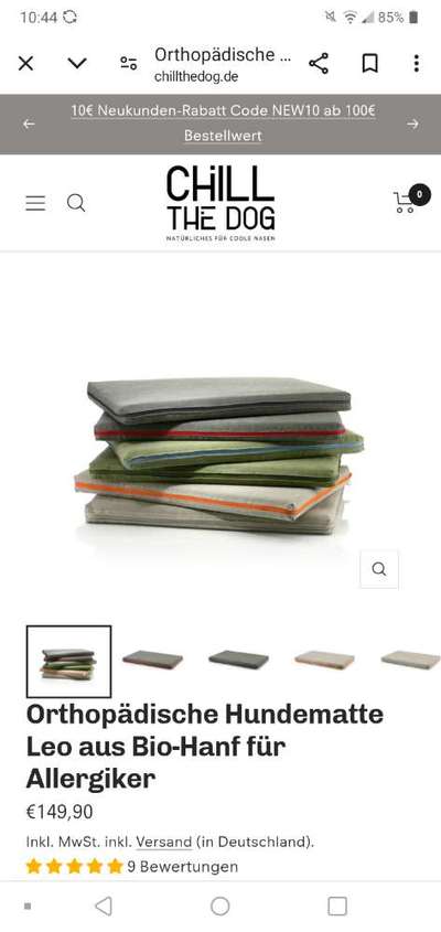 Rhodesian Ridgeback-Beitrag-Bild