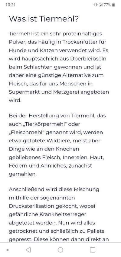 Französische Bulldoggen-Beitrag-Bild