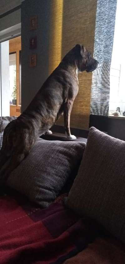 120. Fotochallenge-Beitrag-Bild