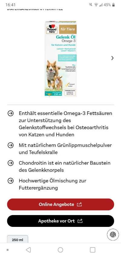 Französische Bulldoggen-Beitrag-Bild