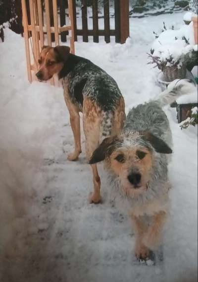 Warum muss es denn unbedingt der sein?-Beitrag-Bild