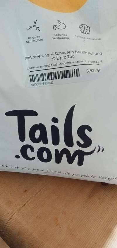 Französische Bulldoggen-Beitrag-Bild