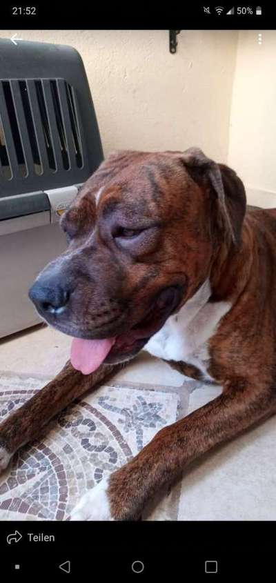 Ich brauche dringend Hilfe-Beitrag-Bild