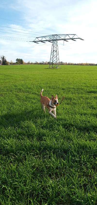 Fotochallenge No. 26                                     Wald und Wiese-Beitrag-Bild