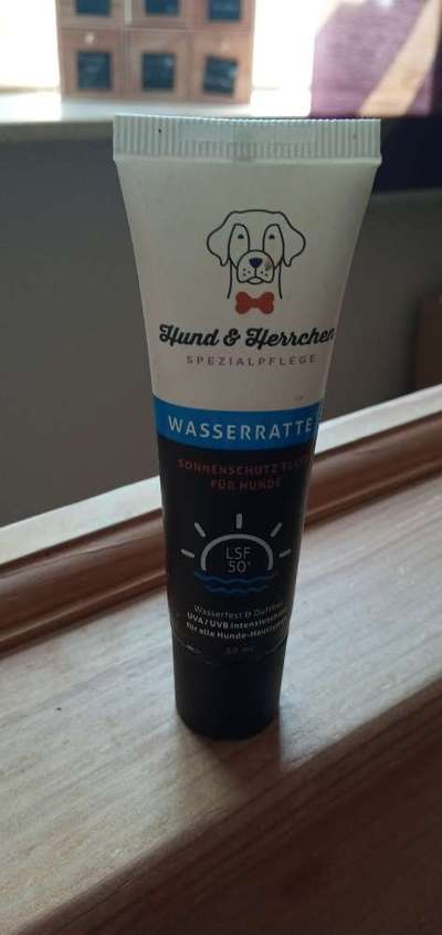 Sonnenschutz-Beitrag-Bild