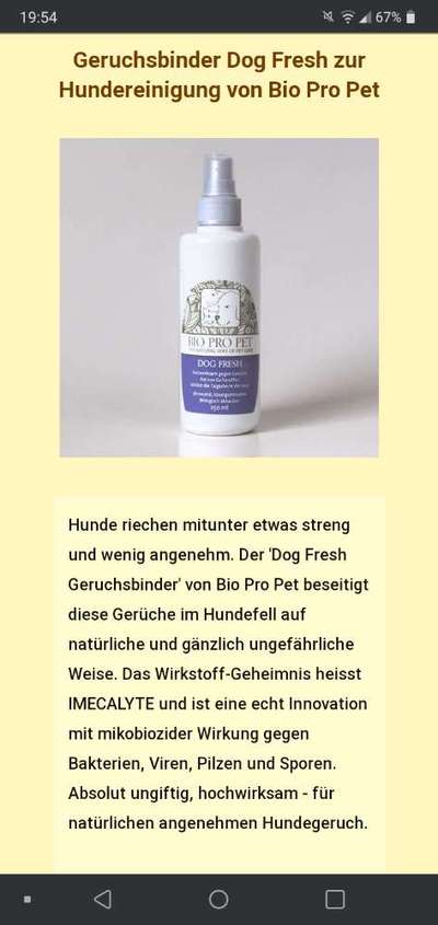 Hundefell desinfizieren-Beitrag-Bild