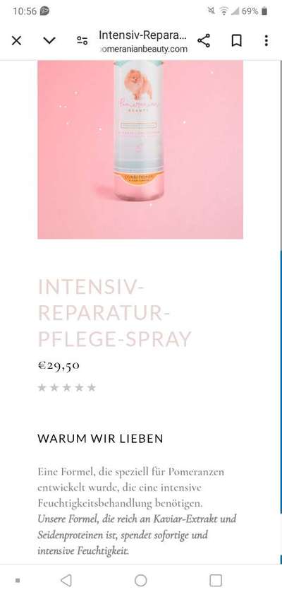 Mein Pomeranian ist komplett Lockig-Beitrag-Bild