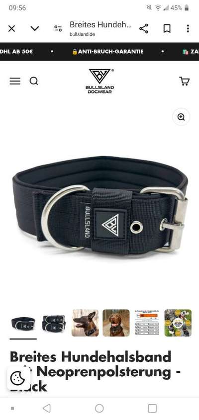 Welches Halsband trägt dein Hund und warum dieses?-Beitrag-Bild