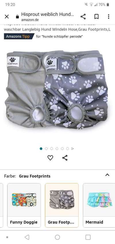 Hammelschwanz-Beitrag-Bild