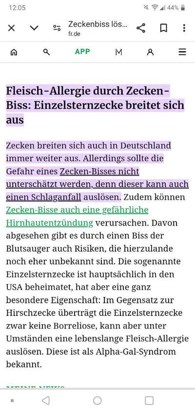 Wird zu selten entwurmt? Wurmbefall bei Hunden in Deutschland-Beitrag-Bild