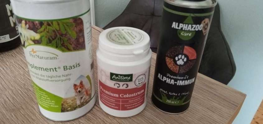 Ohrrandnekrose beidseits-Beitrag-Bild