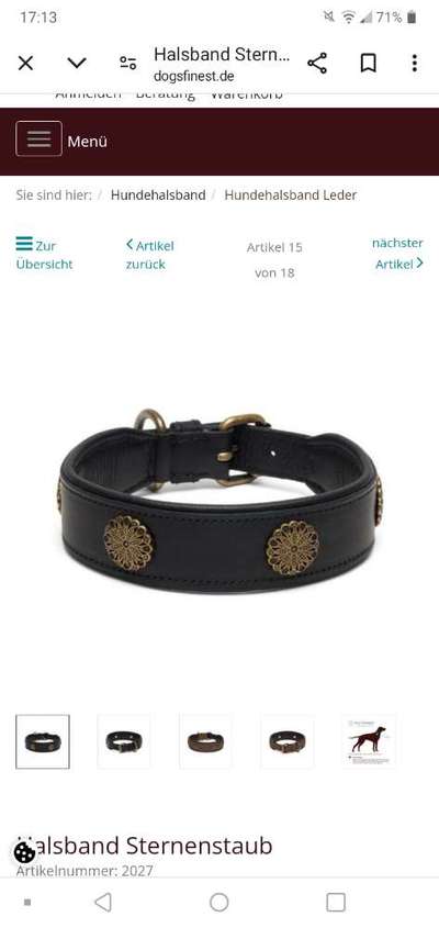 Rhodesian Ridgeback-Beitrag-Bild