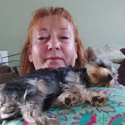 Hundetreffen-Kleine Hunde Spaß-Profilbild