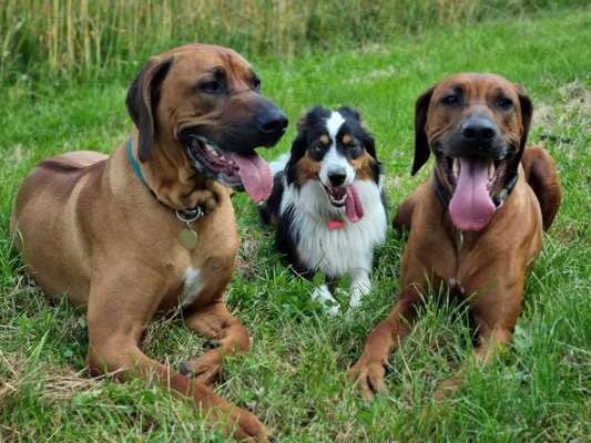 Handyfoto challenge Nr. 13: Waschlappen raus!-Beitrag-Bild