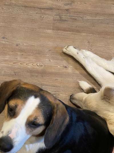 4. Lustiger Schlafplatz-Beitrag-Bild