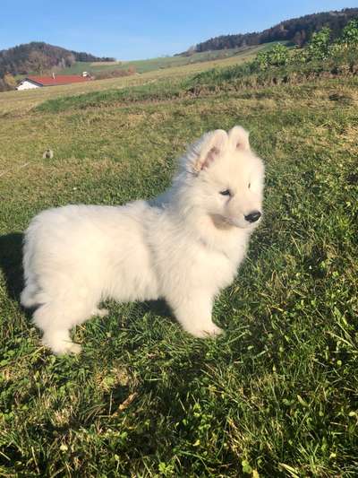 Fotochallange Nummer 5-Beitrag-Bild