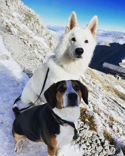 Handy-Foto-Challange Nr.9-Beitrag-Bild