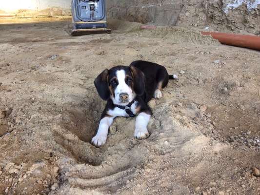 Fotochallange Nummer 5-Beitrag-Bild