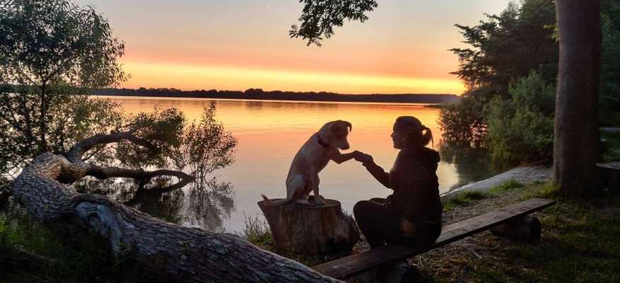 Fotochallenge Nr. 62 Romantische Momente-Beitrag-Bild