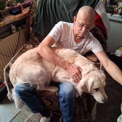 Reinrassige Hunde?-Beitrag-Bild