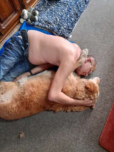 Unsere Fellnasen im Regenbogenland-Beitrag-Bild