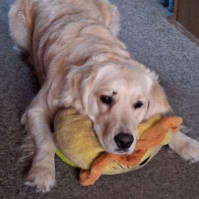 Marianne's Profilbild