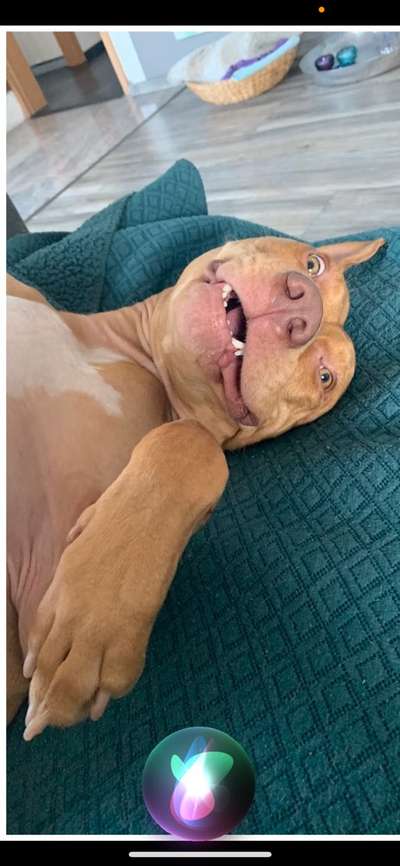 Fotochallenge Nr.122-Beitrag-Bild